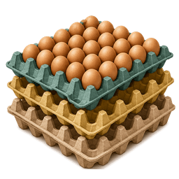 Cartones de huevos por mes